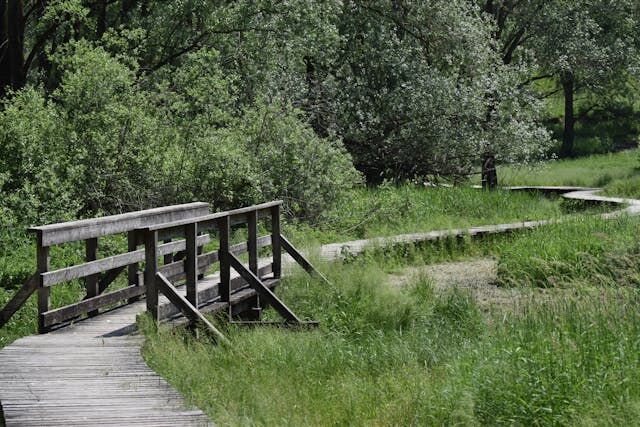 Is Moving to Overland Park Worth It?